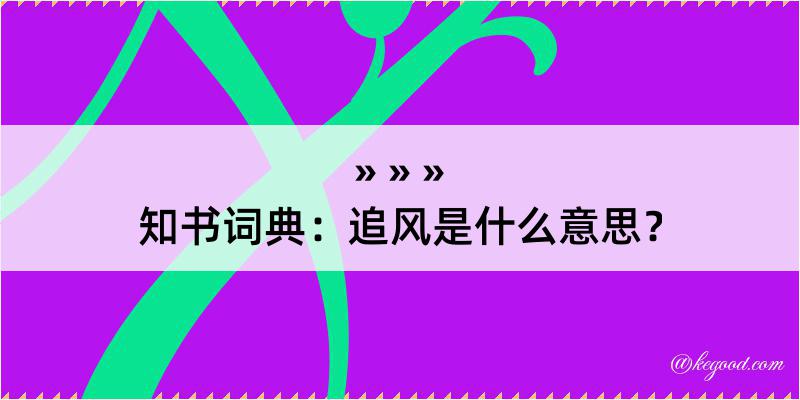 知书词典：追风是什么意思？