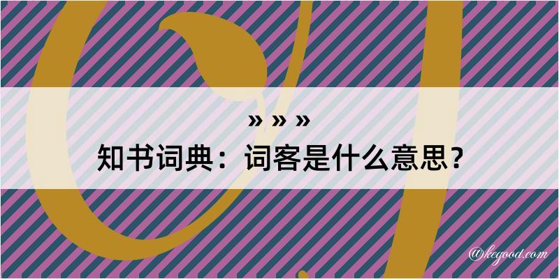 知书词典：词客是什么意思？