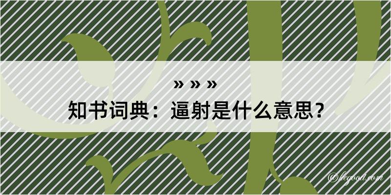 知书词典：逼射是什么意思？