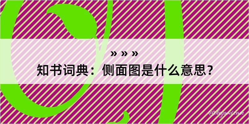 知书词典：侧面图是什么意思？