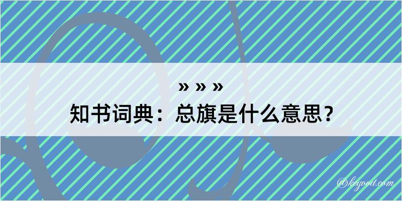 知书词典：总旗是什么意思？