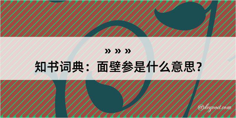 知书词典：面壁参是什么意思？