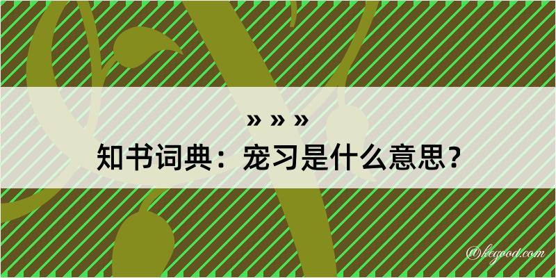 知书词典：宠习是什么意思？