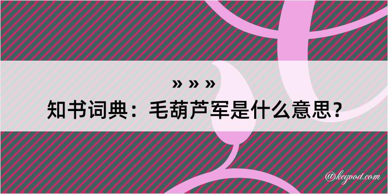 知书词典：毛葫芦军是什么意思？