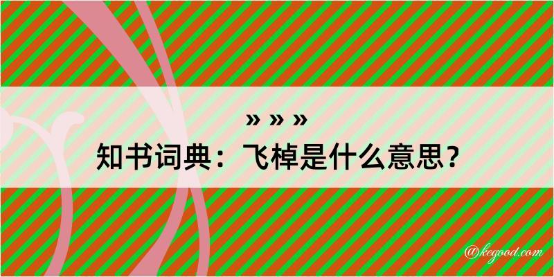 知书词典：飞棹是什么意思？