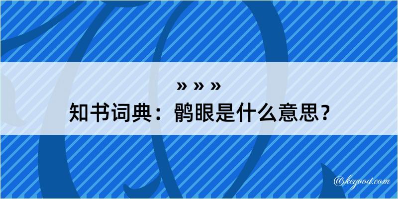 知书词典：鹘眼是什么意思？