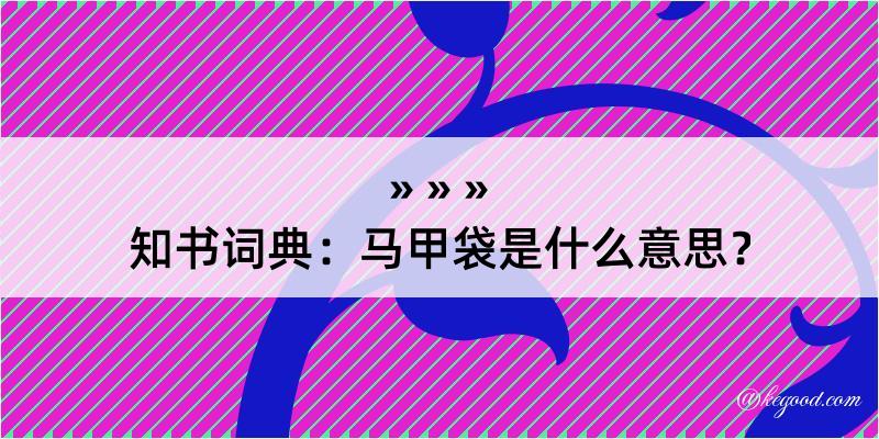 知书词典：马甲袋是什么意思？