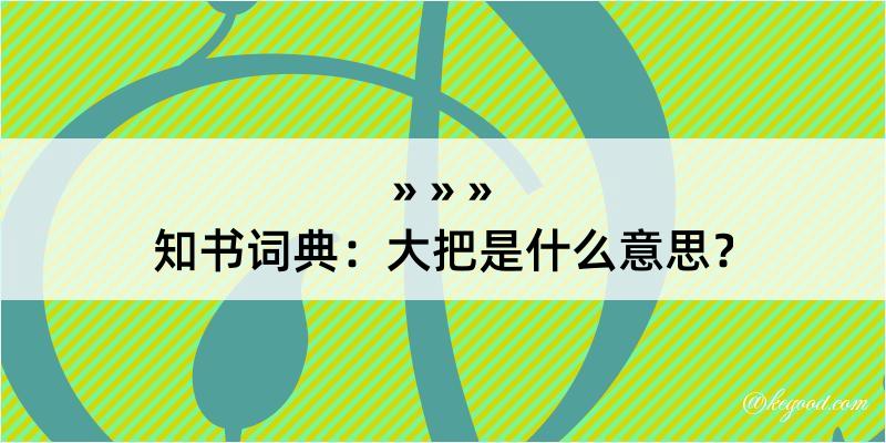 知书词典：大把是什么意思？