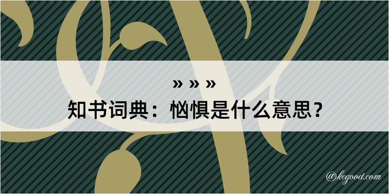 知书词典：忷惧是什么意思？