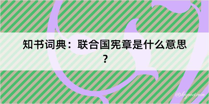 知书词典：联合国宪章是什么意思？