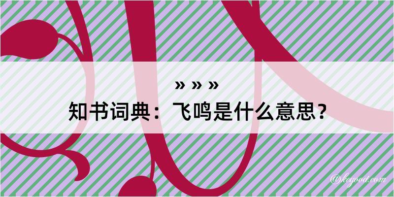 知书词典：飞鸣是什么意思？