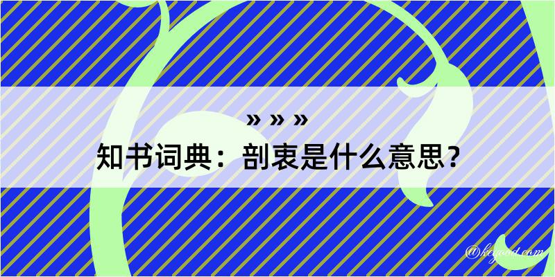 知书词典：剖衷是什么意思？