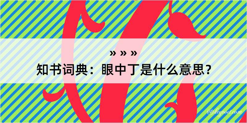 知书词典：眼中丁是什么意思？