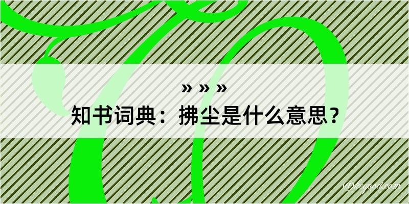 知书词典：拂尘是什么意思？