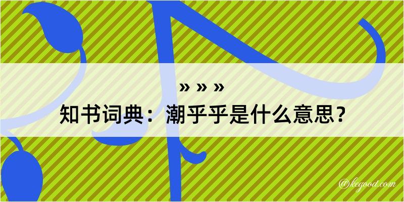 知书词典：潮乎乎是什么意思？