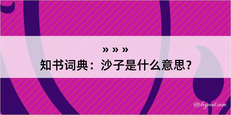 知书词典：沙子是什么意思？