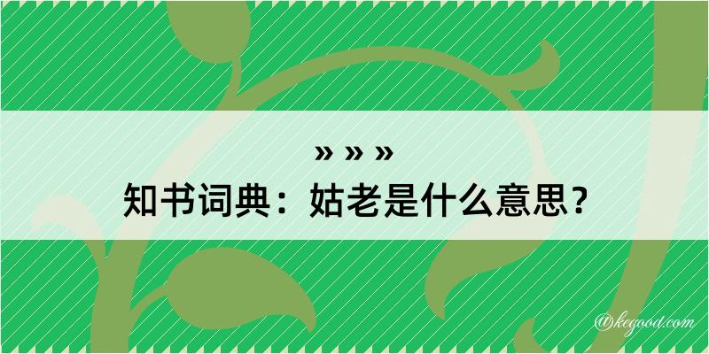 知书词典：姑老是什么意思？