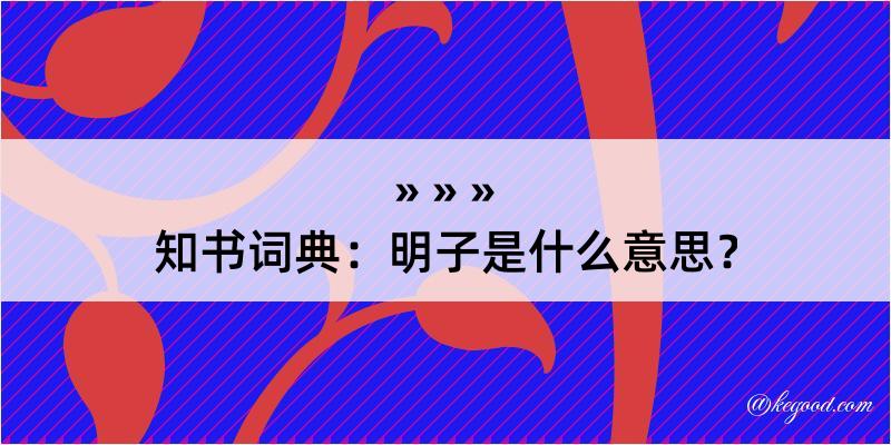 知书词典：明子是什么意思？