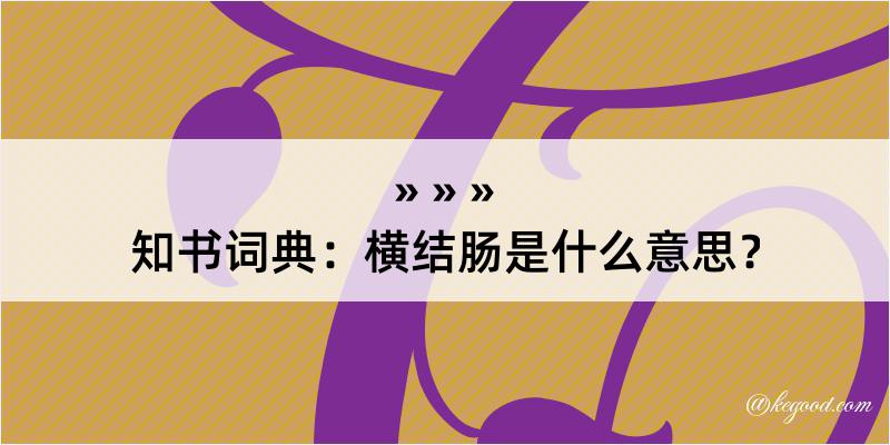 知书词典：横结肠是什么意思？