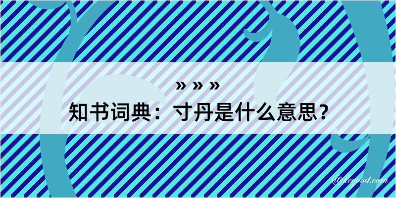 知书词典：寸丹是什么意思？