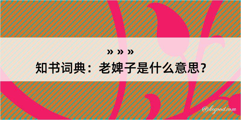 知书词典：老婢子是什么意思？