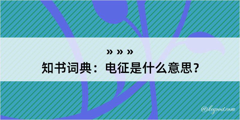 知书词典：电征是什么意思？