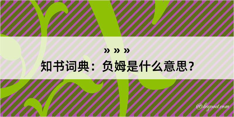 知书词典：负姆是什么意思？