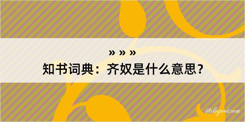 知书词典：齐奴是什么意思？