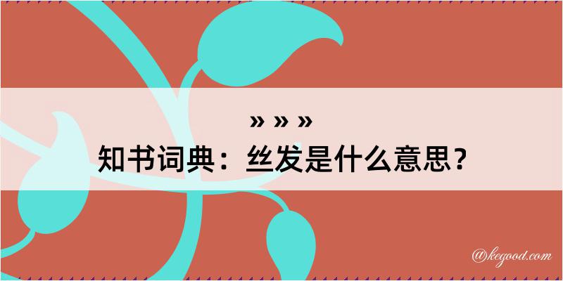 知书词典：丝发是什么意思？