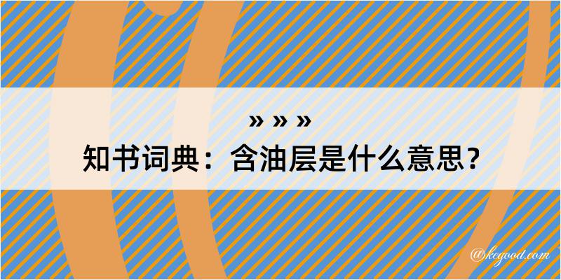 知书词典：含油层是什么意思？