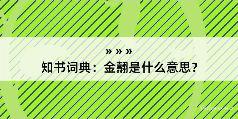 知书词典：金翿是什么意思？