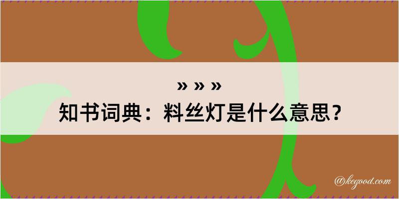 知书词典：料丝灯是什么意思？