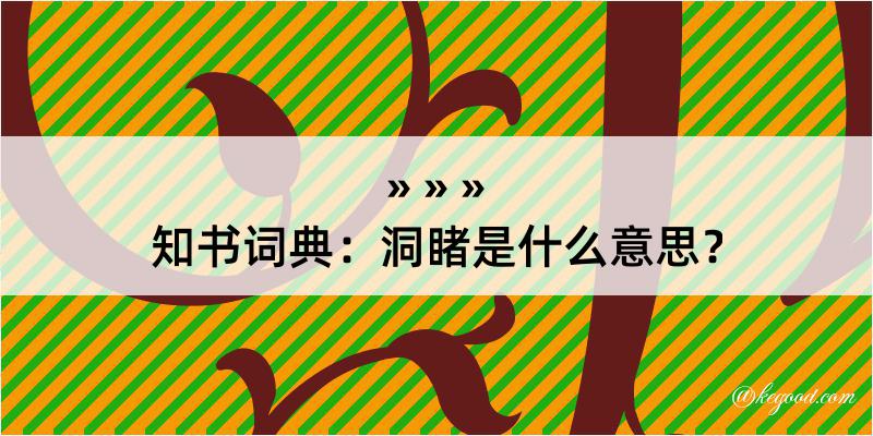 知书词典：洞睹是什么意思？