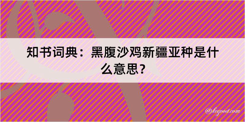 知书词典：黑腹沙鸡新疆亚种是什么意思？