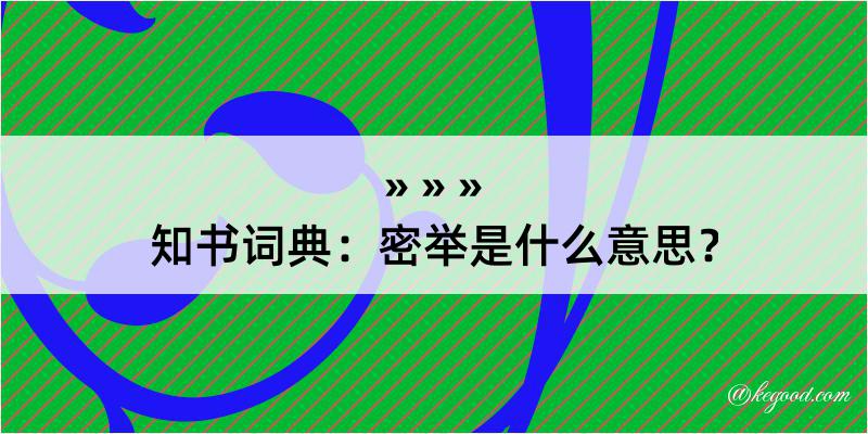 知书词典：密举是什么意思？