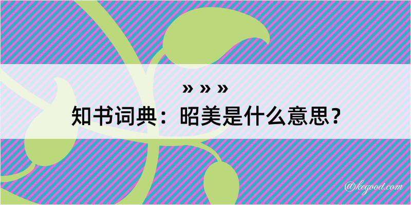 知书词典：昭美是什么意思？