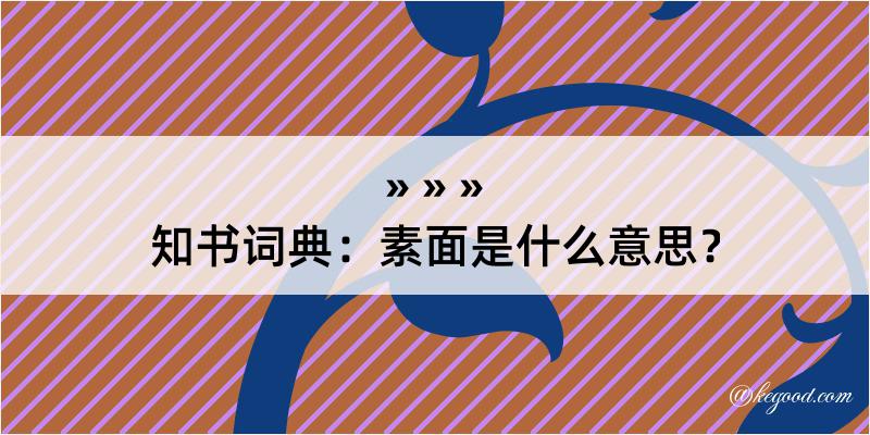 知书词典：素面是什么意思？