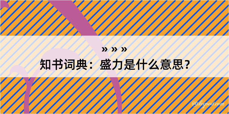 知书词典：盛力是什么意思？