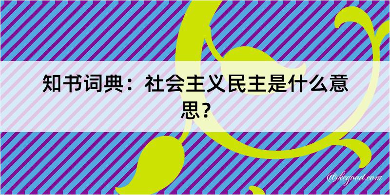 知书词典：社会主义民主是什么意思？