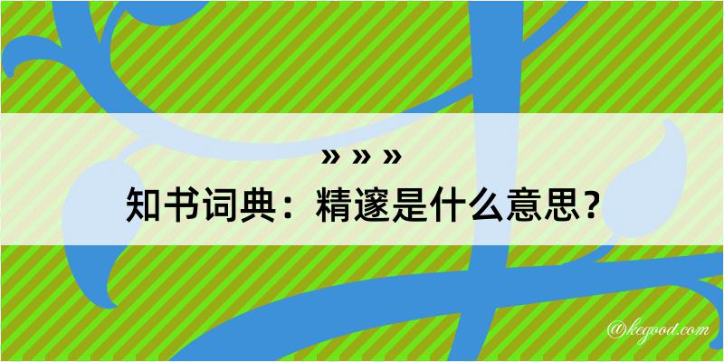 知书词典：精邃是什么意思？