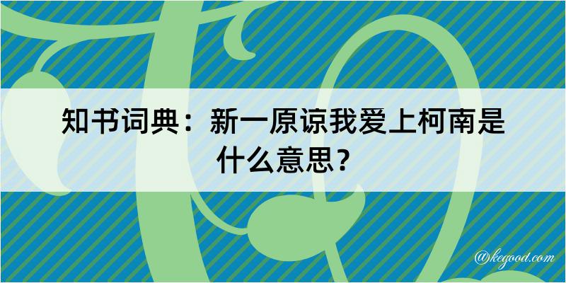 知书词典：新一原谅我爱上柯南是什么意思？