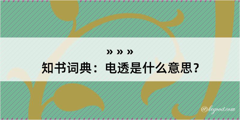 知书词典：电透是什么意思？