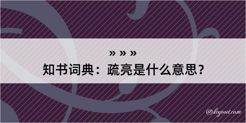 知书词典：疏亮是什么意思？