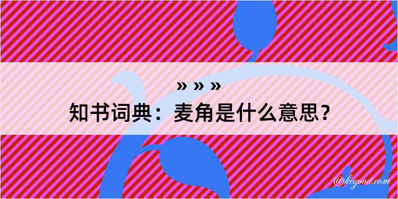 知书词典：麦角是什么意思？