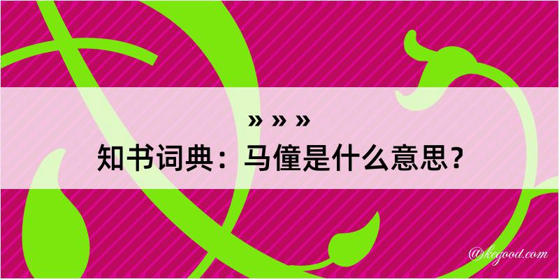 知书词典：马僮是什么意思？