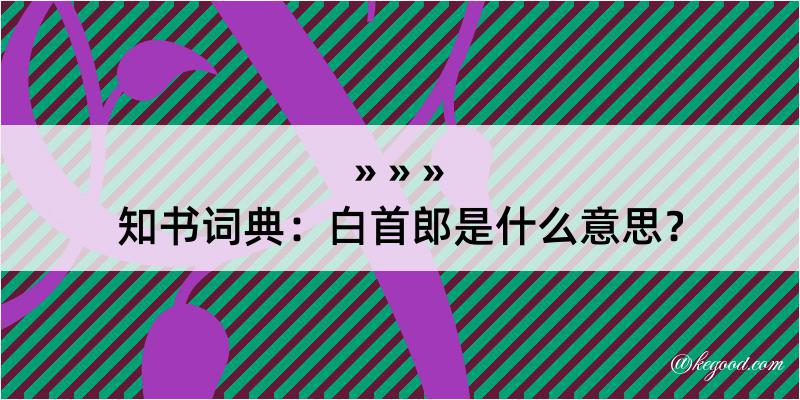 知书词典：白首郎是什么意思？