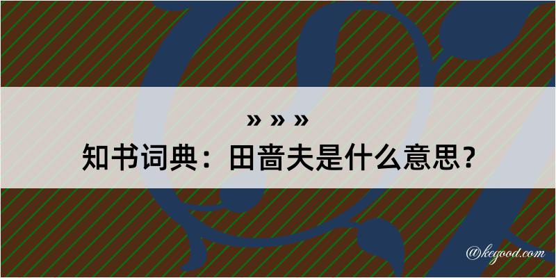 知书词典：田啬夫是什么意思？