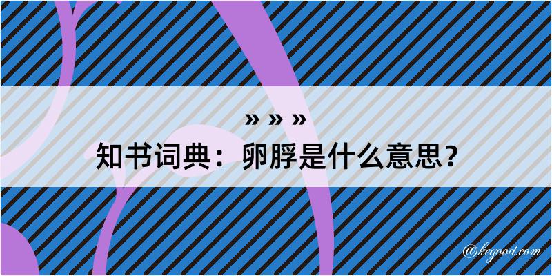 知书词典：卵脬是什么意思？