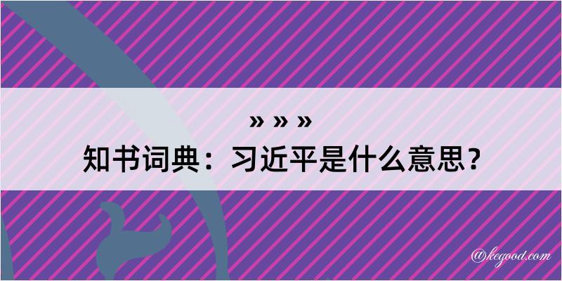 知书词典：习近平是什么意思？