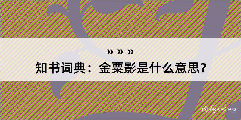 知书词典：金粟影是什么意思？